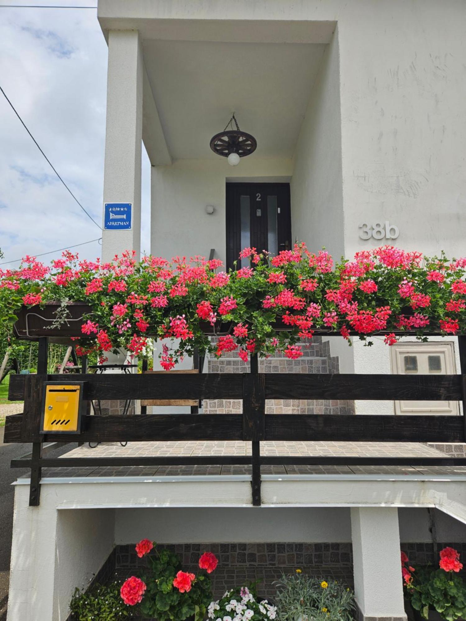 Apartments Luka Rakovica Bagian luar foto
